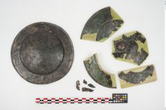 Foto von Bronzephalere (NHMW-PRAE-025405)